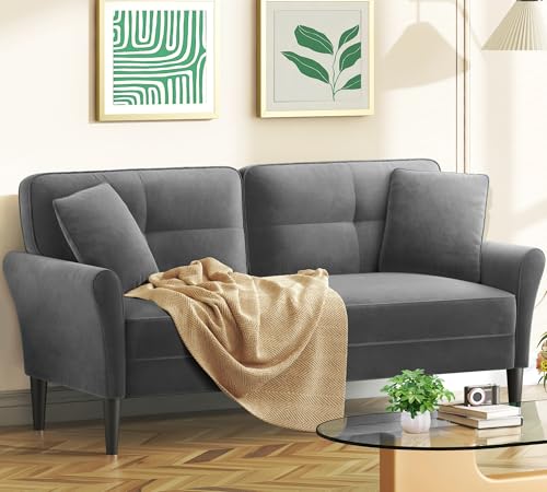 69" Small Sofa, Soft Small Couch with 2 Pillows, Comfy Love Seat Couches, Tool-Free Setup Loveseat Sofa, 700lb Load Sofas for Living Room, Cozy Couches for Living Room, Mini Couch for Bedroom, Grey