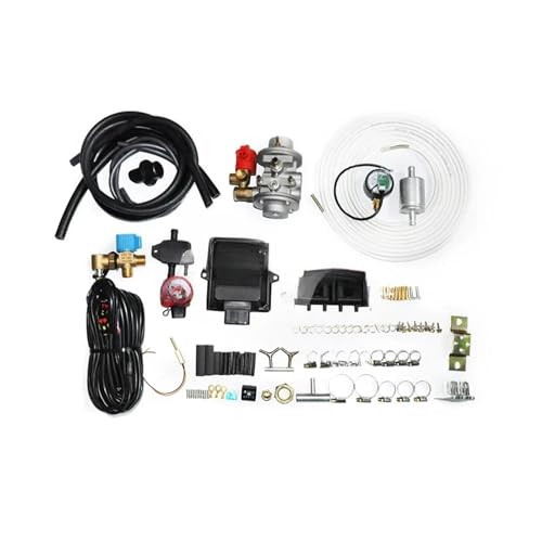 RWFZQKDX Dual Fuel Carburetor 4 Cylinder Cng Conversion Kit For Generator Autogas Car GNV Injection System