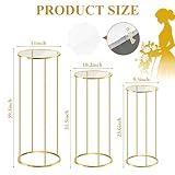 POMINEL Cylinder Stands for Party, 3 Pcs Gold Metal Cilindros Para Fiestas Cake Pedestal Flower Stands for Wedding Party