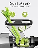 SiFENE Cold Press Juicer Machine, Compact Single Serve Slow Masticating Juicer, Vegetable and Fruit Juice Extractor Maker Squeezer, Easy to Clean, Non-BPA, Grey