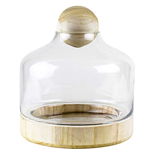 CYS EXCEL Glass Terrarium Container (H:11" W:9") | Multiple Size Choices Planter Jars with Wood Base & Lid | Plant Terrarium Bowl Vase