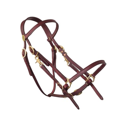 Tucker Classic Lite Halter Bridle Lightweight Adjustable Western Trail Horseback Riding Equestrian Sports Tack w/Durable Genuine Leather Straps & Metal Hardware - Brown/Brass Hardware