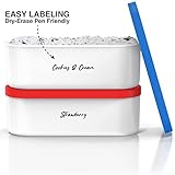 Ice Cream Containers - 2 Quart Ea. (Set of 2) - Premium Reusable Freezer Storage for Homemade Ice Cream Tub for Sorbet, Frozen Yogurt - Flexible Silicone Lids, Long Scoop, Stackable - Blue & Red