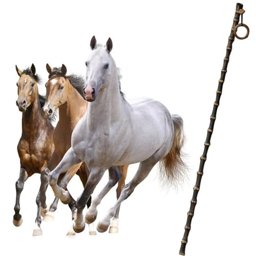 HGUSJP 19.7" Equestrian Whip - Solid Natural Bamboo HorseCrop with Tassel, Handcrafted for Horse Riding, Outdoor Fitness & Camping Tools - Durable & Anti-Slip