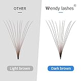 Volume Lash Extensions 10D Brown Premade Fans 500 PCS 0.07mm 9-16mm Mixed C/D Curl Short Stem Premade Volume Eyelash Extensions Pointed Base Fans by WENDY LASHES (500PCS-10D-0.07-C, 9-16mm MIXED)