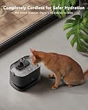 PETLIBRO Cat Water Fountain, Cordless Pet Water Fountain Battery Operated, 2.5L/84oz Dockstream Water Fountains for Cats Indoor, Cat Fountain with Stainless Steel Tray, Easy to Clean BPA-Free