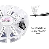 FADLASH 1000 Fans 10D Premade Volume Eyelash Extensions Mixed Tray Premade Fans Eyelash Extensions D Curl Premade Lash Fans Pointed Handmade Promade Loose Fans Thin Base (10D-0.07D,9-16mm)