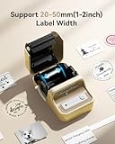 NIIMBOT B21 Label Maker, 2 Inch Portable Thermal Bluetooth Label Printer with 1 Roll Tape, Compatible with Smartphone PC, for Home Office and Small Business