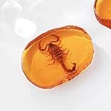 RRBMMH 1 Pc Amber Fossil Insect, Dragonfly Scorpion Artificial Amber Specimen for Amber Fossil Collections Ornament Decor Resin Crystal Sample (Scorpion)