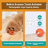 PetDroid Interactive Dog Toys Dog Ball,[2025 Newly Upgraded] Durable Motion Activated Automatic Rolling Ball Toys for/Small/Medium/Large Dogs,USB Rechargeable (Orange)