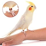 TODVTOO Open Bird Ring Bird Band Bird Foot Ring Bird Leg Bands Rings for Birds Tags Aluminum Alloy Split Ring Mixed Color for Parrots Hibiscus Bird Finches Etc 50Pcs (ID 5.7MM)