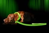 ILLUMISEEN LED Light Up Dog Leash | Ultra High Visibility Up to 350 Yards | 3 Lighting Modes | USB Rechargeable, No Batteries Needed | Padded Handle & Rotating Swivel Clasp to Prevent Leash Tangling