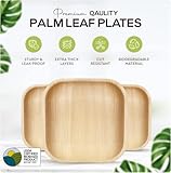 Palm Leaf Plates Bamboo Paper Plates Disposable 6 Inch 200 Bulk Appetizer and Dessert Square Plates Party Pack Eco Biodegradable Compostable Wooden Plates Better Than Plastic Plates By KoalaLove