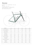 ICAN [US Stock] Graro Carbon Gravel Bike Frameset UCI and UDH Rear Hanger Bottom Bracket T47 49/52/54/56/58cm (Pitch Black, 52cm)