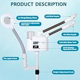 Professional 3 in 1 Facial Steamer for Face Deep Cleaning Ozone Face Steamer with 5X Magnifying Lamp Hot Cool Mist Function for Salon Spa Home Beauty Equipment (3 in 1 Facial Steamer)