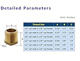 TL TOOLEGIN 1/2" NPT Male x 1/4" NPT Female Brass Bushing Reducer Reducing Pipe Adapter Fitting 5pcs 1200 PSI