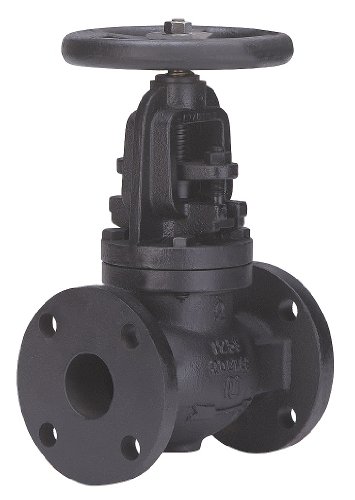 Globe Valve, 3 In., Cast Iron