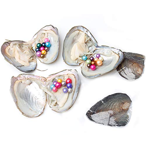 JNMM 5PC Pearl Oysters Freshwater Cultured with 10 Mix Color Round Love Wish Oysters with Pearls Inside 10 Colors (7-8mm), Valentines Mothers Day Birthday Gifts Pearl Wedding Party (Total 50 Pearls)