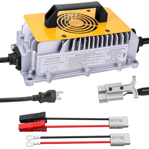 29.2V 30A LiFePO4 Battery Charger Smart 24V Lithium Iron Phosphate Battery, Support 0V Restart Charging Function, with Multiple Safety Protections for 24V Lithium Iron Phosphate Battery