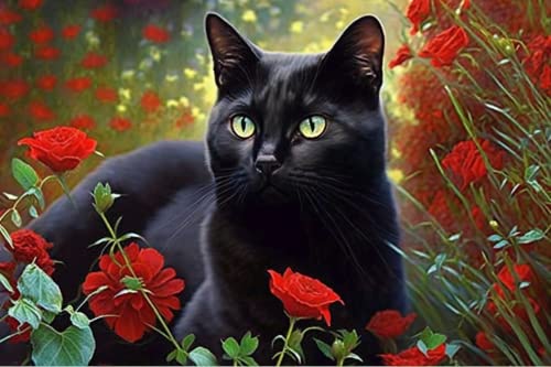 Generic Garden Black Cat, 5D Diamond Painting Kits - Exquisite Full Circle Gemstone Fine Rhinestone Art Kit for Beginners and Kids, for Room Decor & Wall Decor (8 X 12 Inch)