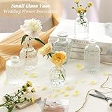 Anquephd Glass Bud Vase Set of 32PCS Wedding Centerpieces for Tables,Mini Clear Bud Vases for Flowers,Small Flower Vases Suitable for Birthday Party,Anniversary,Wedding,Baby Shower (Clear, 32PCS)