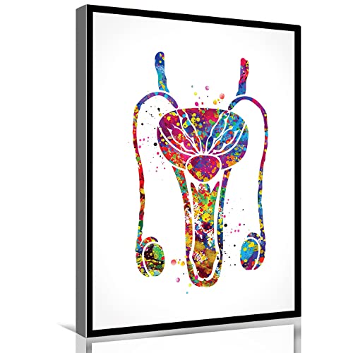 Canvas Paintings Wall Art,Human Organs Urology Penis Fertility Clinic Decor Urology Medical Art Nurse Doctor Art for Office Living Room Wall Art Bedroom wall art Stretched（16"x24"Framed Canvas）