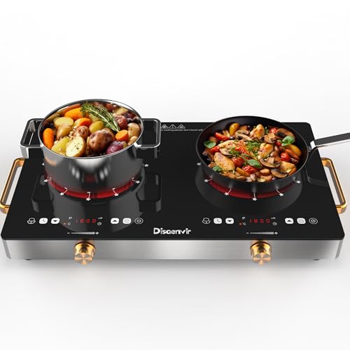 Disaenvir 2 Burner Electric Cooktop 110V - 24 Inch Countertop Electric Stove with Handles 2000W, Two Burner Ceramic Burner with LCD Touch Screen and Knob Control, Timer, Safety Lock, 120V Plug in