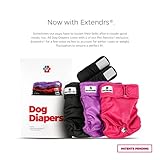 Pet Parents® Washable Dog Diapers (3pack) + Extendrs® of Durable Doggie Diapers, Premium Dog Diapers Female (Large, Princess)