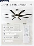 Fanbulous 65 Inch Ceiling Fans with Lights and Remote, Black Indoor/Outdoor Ceiling Fan with Quiet Reversible DC Motor, 6 Speeds, 3CCT, 8 Blades Large Ceiling Fan for Living Room Bedroom Patio