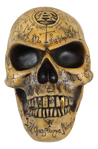 Ebros Paranormal Witchcraft Alchemy Alpha Omega Ancient Wisdom Mystical Symbols Skull Cranium with Sharp Canine Fang Figurine Occult Supernatural Skulls Halloween Sculpture