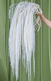 Glicrili 10Pcs Natural Dried Wisteria Hanging Flowers - 23" Bleached White Preserved Amaranthus for Wedding Decor, Dry Flowers Arrangement, Garlands, Home Decor, Vase Filler, Wall Decoration