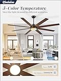 Fanbulous 65 Inch Ceiling Fans with Lights and Remote, Black Indoor/Outdoor Ceiling Fan with Quiet Reversible DC Motor, 6 Speeds, 3CCT, 8 Blades Large Ceiling Fan for Living Room Bedroom Patio