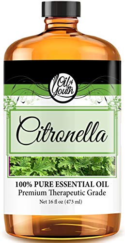 Oil of Youth Citronella Essential Oil (16oz Bulk) - Pure Essential Aromatherapy for Relaxation, Mood, Diffuser, Candles