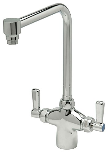Zurn Z826S1-XL Double Laboratory Faucet with 8" Bent Riser Spout with Aerated Outlet