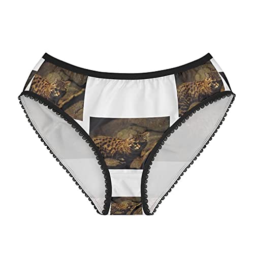 SpreadPassion Women's Black-Footed Cat Felis Nigripes Panties, Black-Footed Cat Felis Nigripes Underwear, Briefs, Cotton Briefs, Funny Underwear, (X-Small)