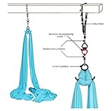 Aerial Silks Deluxe Equipment Set for Aerial Yoga, Aerial Yoga Hammock, Aerial Acrobatic,Circus Arts, Aerial Dance(L:10m W:2.8m (Sakura Pink)