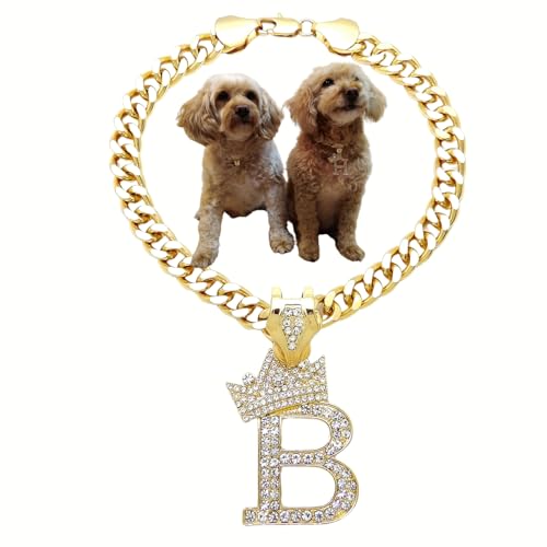 BA UNIQUE FASHION Initial Letter Cuban Chain Dog Chain Pet Chain Pet, Cat, Puppy Necklace (B, 12")