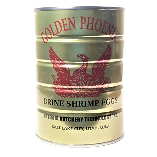 Aquatic Foods Inc. Brine Shrimp Eggs 90% Hatch Rate, Premium Grade A Eggs, Great Salt Lake Brine Shrimp Eggs. Shipped Direct from us in California. NOT from Overseas or Amazon Warehouse 1-lb Can