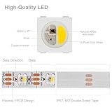 BTF-LIGHTING RGBW RGB+Natural White SK6812 (Similar WS2812B) 4 Colors in 1 LED Strip Individually Addressable 16.4ft 60Pixel/m 300LED Light Dream Color IP67 DC5V White PCB (No Adapter or Controller)