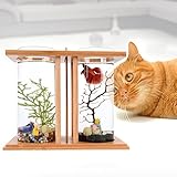 Creative Bamboo Wood Ecological Fish Tank Dual Glass Desktop Mini DIY Goldfish Betta Fish Tank Micro Landscape Tank Aquarium Small Fish Tank