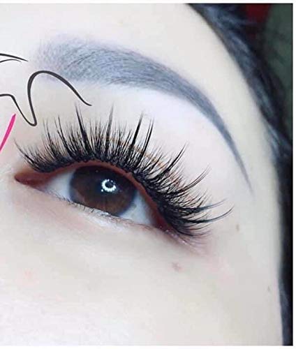 HYBRID 5D PREMADE (HAND MADE) FAN LASHES (500 FANS/TRAY) FOR EYELASH EXTENSION, D CURL, 0.07 THICKNESS, LENGTH FROM 9MM-15MM (HYBRID-D13mm5D)