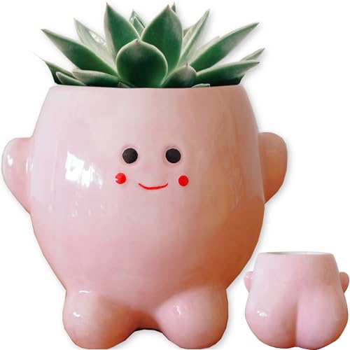 Evovee 5.5 Inches Pink Happy Planter Smiling Plant Pot Face Funny Flower Ceramic Cute Faces Quirky House Plant Fun Succulent Pots Cactus Novelty Vase Cartoon Indoor Garden