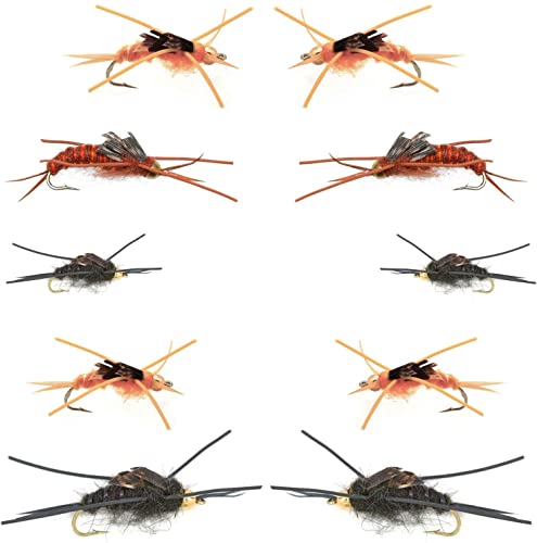 The Fly Fishing Place Basics Collection - Kaufmann's Tungsten Bead Stonefly Nymph Assortment - 10 Bead Head Rubber Legs Wet Flies - 5 Patterns - Hook Sizes 4, 6, 8, 10, and 12