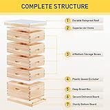 CREWORKS 5 Layer Bee Hive, Beehive for Honey, Bee Box Beekeeping Supplies, Hive Kit for Starter Beekeeper (No Frames)