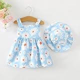 Baby Girl Summer Dresses Blue Boho Sleeveless Dresses Infant Summer Outfits Sundress Baby Girl Clothes 6-9 Months 12 Months