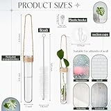 Baderke 9 Pack 5" Plastic Window Propagation Stations Plant Propagation Tubes with Suction Cups & Traceless Nails, Plant Test Tubes with Bottle Brush Clear Wall Hanging Planter Vases Terrarium Gifts