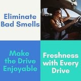 Air Jungles Honey Peach Scent Car Air Freshener Clip, 6 Vent Clips, 4ml Each, Long Lasting Air Freshener, Up to 180 Days Car Refresher Odor Eliminator