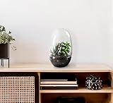 Bloomingville Large Clear Glass Terrarium