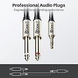 GearIT (2-Pack Dual 1/4 to 1/8 inch (3.5mm Male to 6.35mm TS Mono Stereo Y-Cable Splitter) 6 Feet