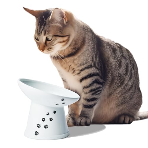 Necoichi Extra Wide Raised Cat Food Bowl, Elevated, Prevent Neck & Whisker Fatigue, Dishwasher and Microwave Safe, No.1 Seller in Japan! (Cat, Extra Wide Tilted)